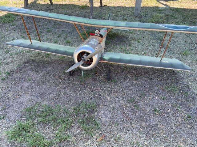 Snoopy at the controls