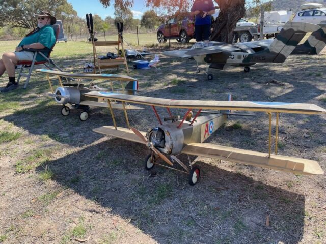 Hanging out in the shade
