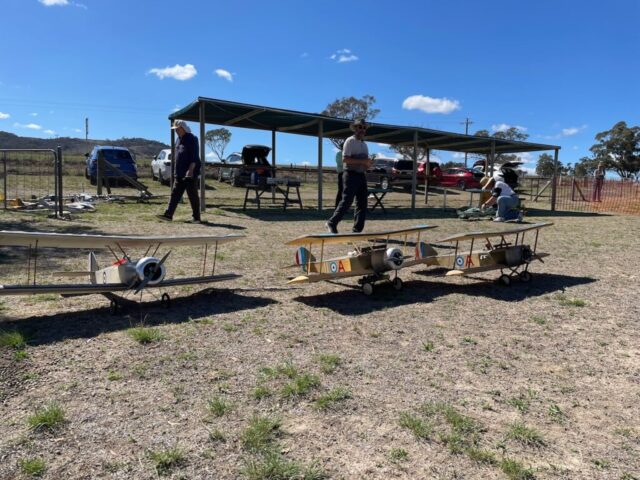A squadron of Sopwith Pups